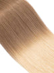 #T10/24 - Medium Ash Brown / Light Blonde Ombre